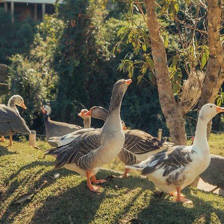 Hotel Chales Capitanias Águas de Lindóia المظهر الخارجي الصورة